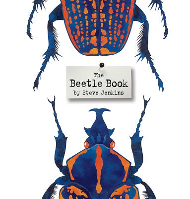 �The Beetle Book,” written and illustrated by Steve Jenkins (Houghton Mifflin)