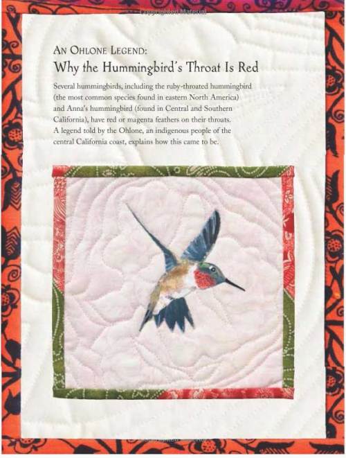 A text page from "Hummingbirds"