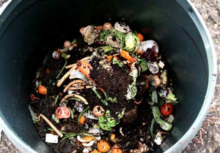 compost trash bin